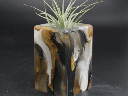 Wood Burl ResinArt Air Plant Holder - Franklin (The Lab, 707823) Supply