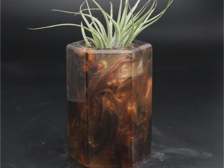 Wood Burl ResinArt Air Plant Holder - Lorrie (The Lab, 707643) on Sale