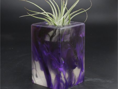 Wood Burl ResinArt Air Plant Holder - Latasha (The Lab, 707684) Online Hot Sale