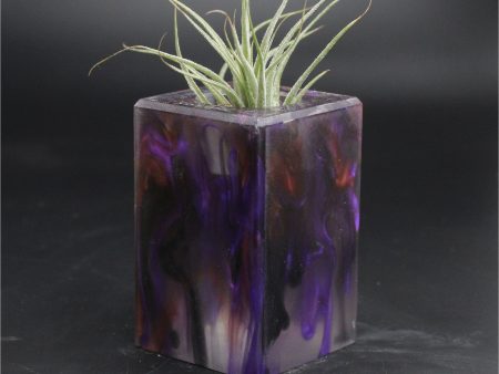 Wood Burl ResinArt Air Plant Holder - Pedro (The Lab, 707690) Online now