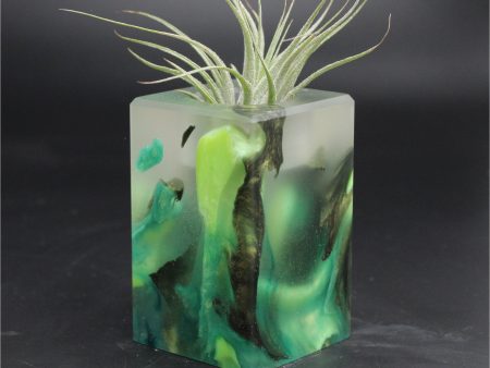 Wood Burl ResinArt Air Plant Holder - Makenna (The Lab, 707816) Fashion