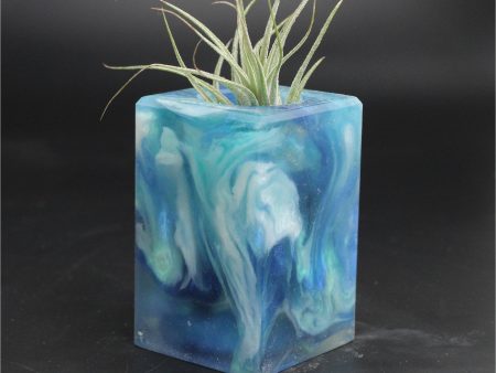 Wood Burl ResinArt Air Plant Holder - Jessie (The Lab, 707671) Online now