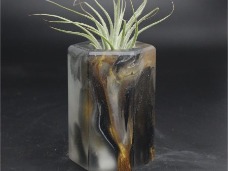 Wood Burl ResinArt Air Plant Holder - Merle (The Lab, 707827) Online Hot Sale