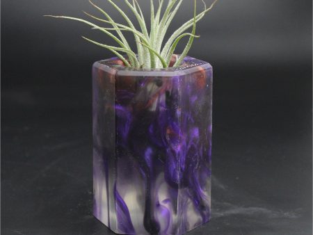 Wood Burl ResinArt Air Plant Holder - Lauryn (The Lab, 707678) Online