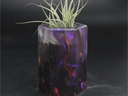 Wood Burl ResinArt Air Plant Holder - Wendy (The Lab, 707670) Online