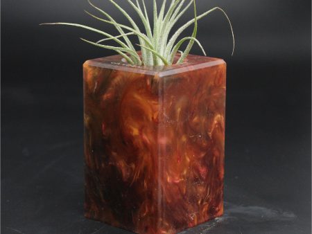 Wood Burl ResinArt Air Plant Holder - Reed (The Lab, 707646) Online