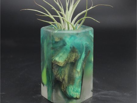 Wood Burl ResinArt Air Plant Holder - Kade (The Lab, 707817) Hot on Sale