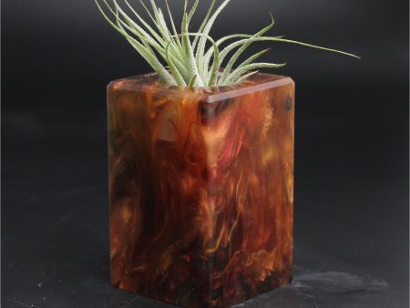 Wood Burl ResinArt Air Plant Holder - Sabrina (The Lab, 707632) Sale