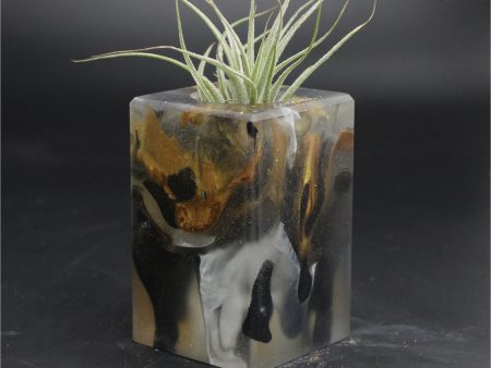 Wood Burl ResinArt Air Plant Holder - Fred (The Lab, 707818) For Sale