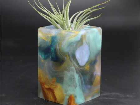 Wood Burl ResinArt Air Plant Holder - Pauline (The Lab, 707689) For Sale