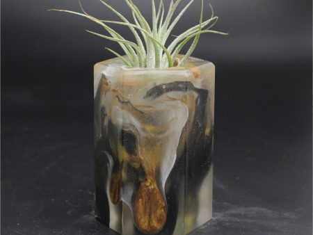 Wood Burl ResinArt Air Plant Holder - Rudolph (The Lab, 707826) For Discount