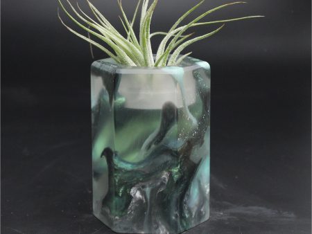 Wood Burl ResinArt Air Plant Holder - Shari (The Lab, 707651) Discount