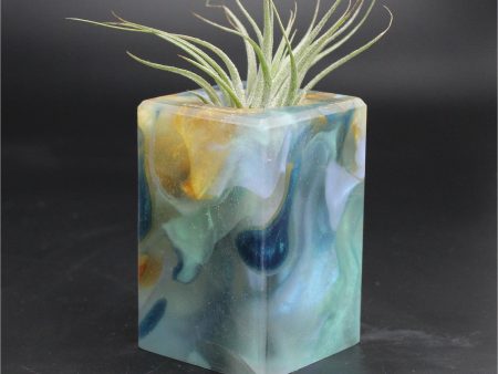 Wood Burl ResinArt Air Plant Holder - Rickey (The Lab, 707682) on Sale