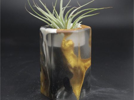 Wood Burl ResinArt Air Plant Holder - Thea (The Lab, 707820) Fashion