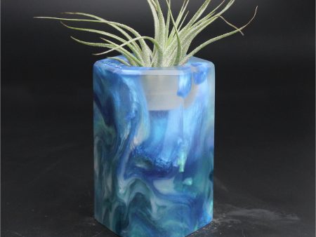 Wood Burl ResinArt Air Plant Holder - Jeffery (The Lab, 707628) Online Sale