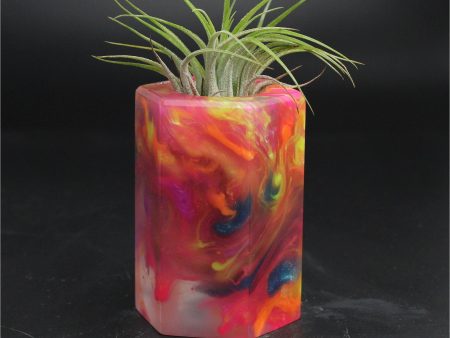 Wood Burl ResinArt Air Plant Holder - Gretchen (The Lab, 705808) Sale