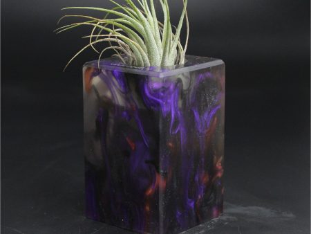 Wood Burl ResinArt Air Plant Holder - Minnie (The Lab, 707626) Online Sale