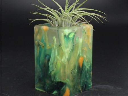 Wood Burl ResinArt Air Plant Holder - Rebekah (The Lab, 705816) Online