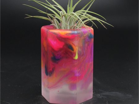 Wood Burl ResinArt Air Plant Holder - Tori (The Lab, 705815) Hot on Sale