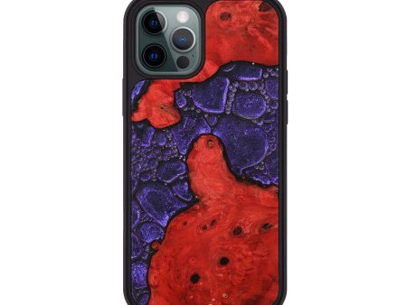 iPhone 12 Pro Wood+Resin Phone Case - Amiyah (Chameleon, 706560) Online