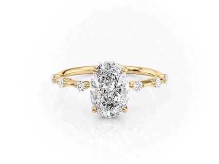 The Hidden Halo Penelope Set With A 4.5 Carat Oval Moissanite Fashion