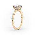 The Hidden Halo Penelope Set With A 4.5 Carat Oval Moissanite Fashion