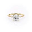 The Hidden Halo Penelope Set With A 1 Carat Round Moissanite Cheap