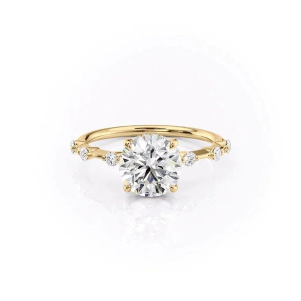 The Hidden Halo Penelope Set With A 1 Carat Round Moissanite Cheap